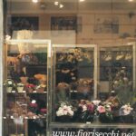 1_fiorinegozio